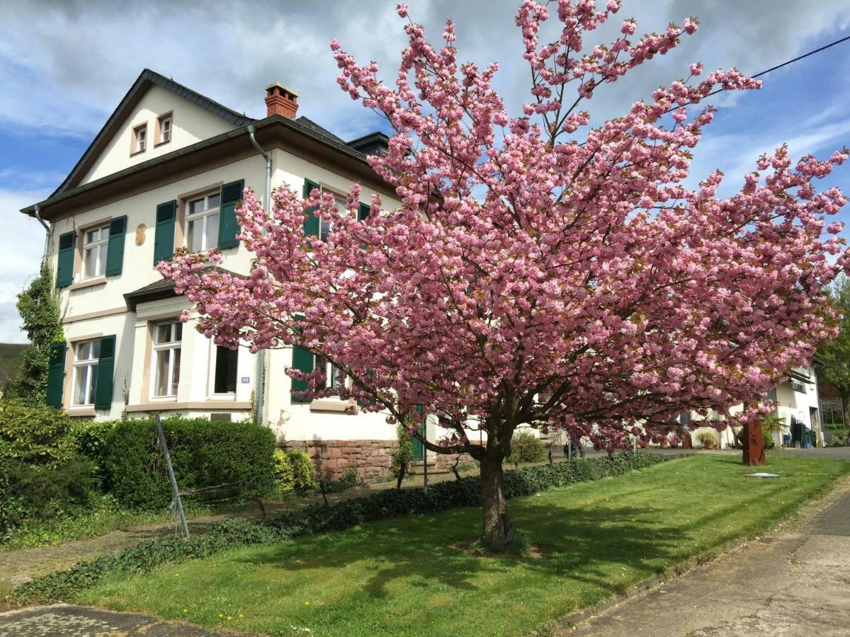 Wiltingen Ferienbungalow Kampenheissji מראה חיצוני תמונה